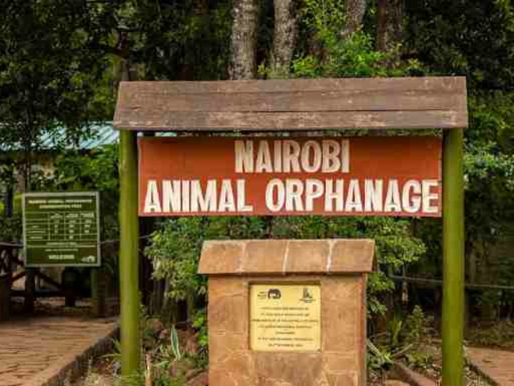 The Nairobi National park